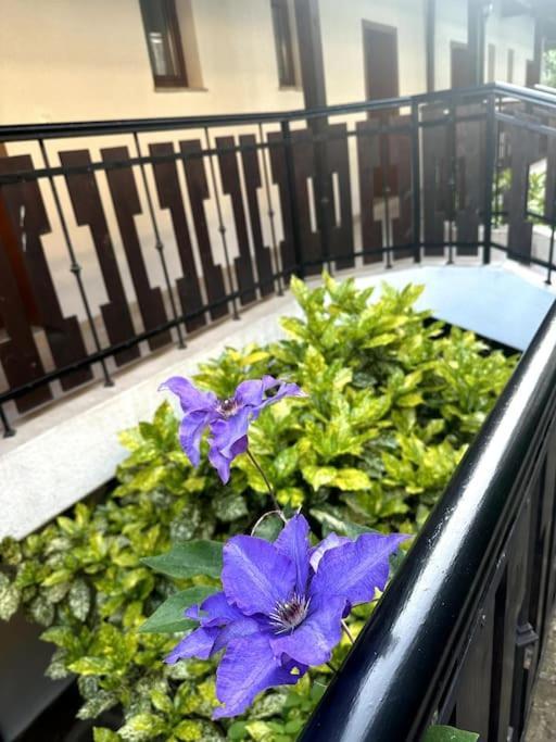 Spacious Fully Furnished Studio In Kavarna Apart Hotel Exterior foto